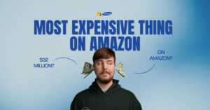 What Is the Most Expensive Thing on Amazon?
